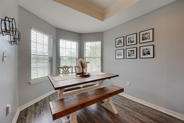 dining area featuring a wealth of natural light, ornamental molding, and dark hardwood / wood-style flooring