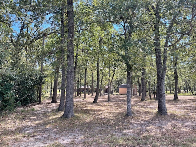 LOT15 Susan Grove Blvd, Streetman TX, 75859 land for sale