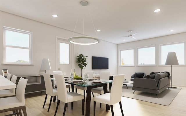 dining space with ceiling fan, a wealth of natural light, and light hardwood / wood-style floors