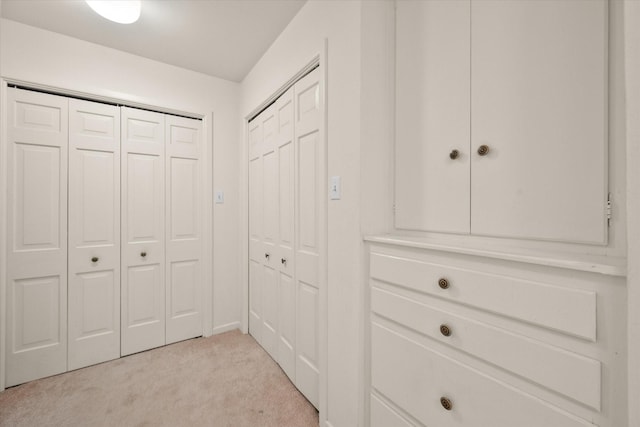 spacious closet with light colored carpet