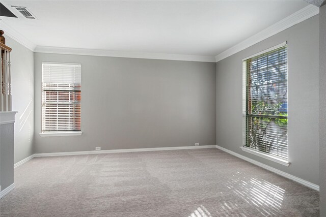 empty room featuring carpet floors and crown molding