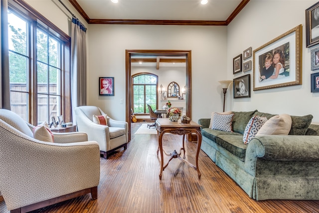 living room featuring crown molding and dark hardwood / wood-style flooring