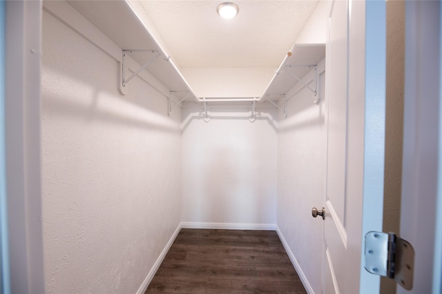 spacious closet with dark wood-style flooring