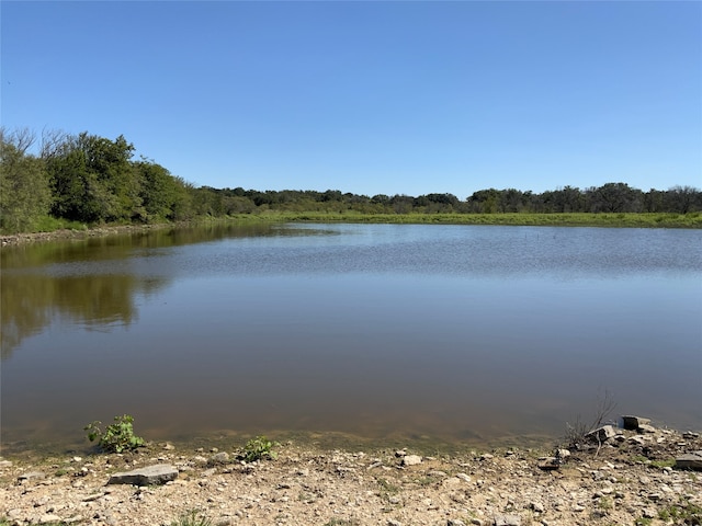 Listing photo 3 for TBD Fm-2486, Gustine TX 76455