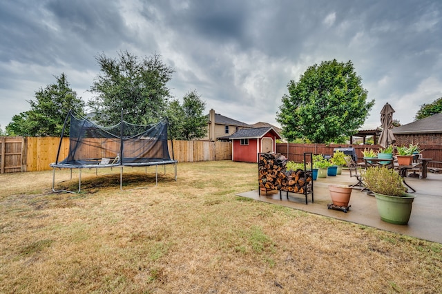 view of yard featuring a trampoline, a patio, and a storage unit