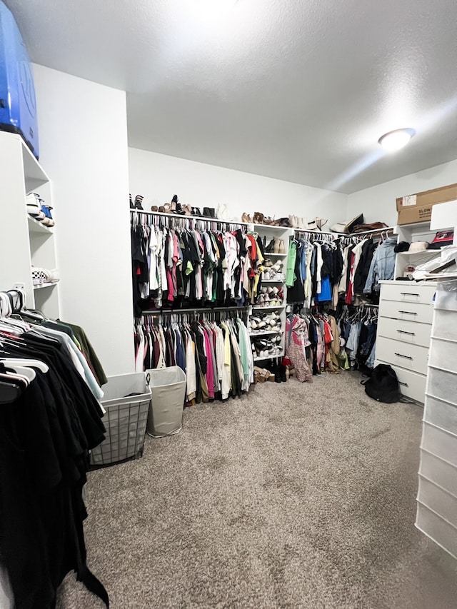 walk in closet featuring carpet