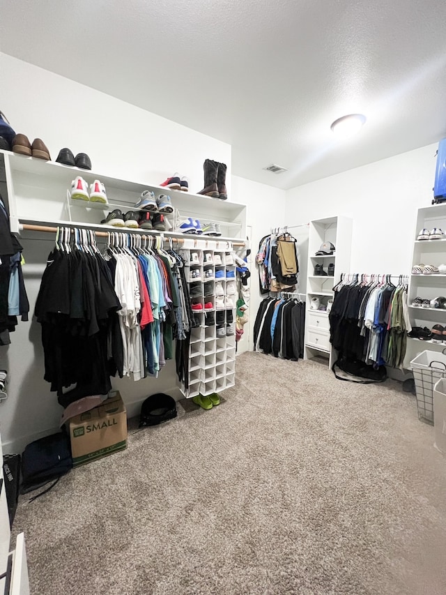 walk in closet with carpet