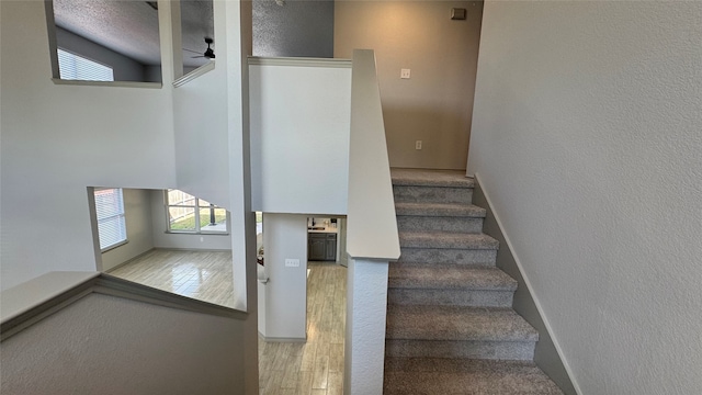 staircase featuring hardwood / wood-style floors and ceiling fan