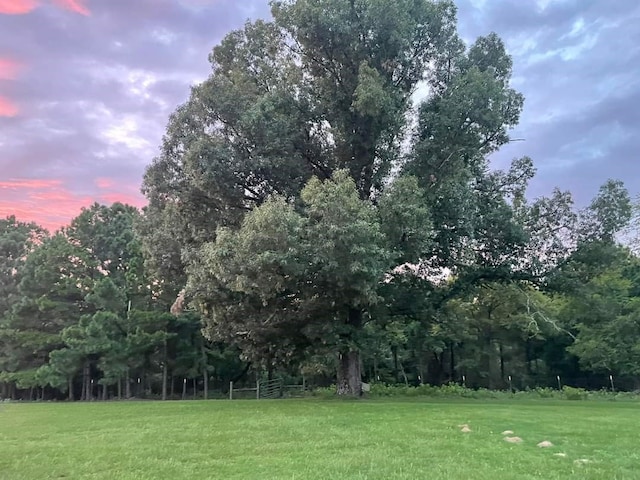 view of yard at dusk