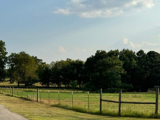 view of yard featuring a rural view