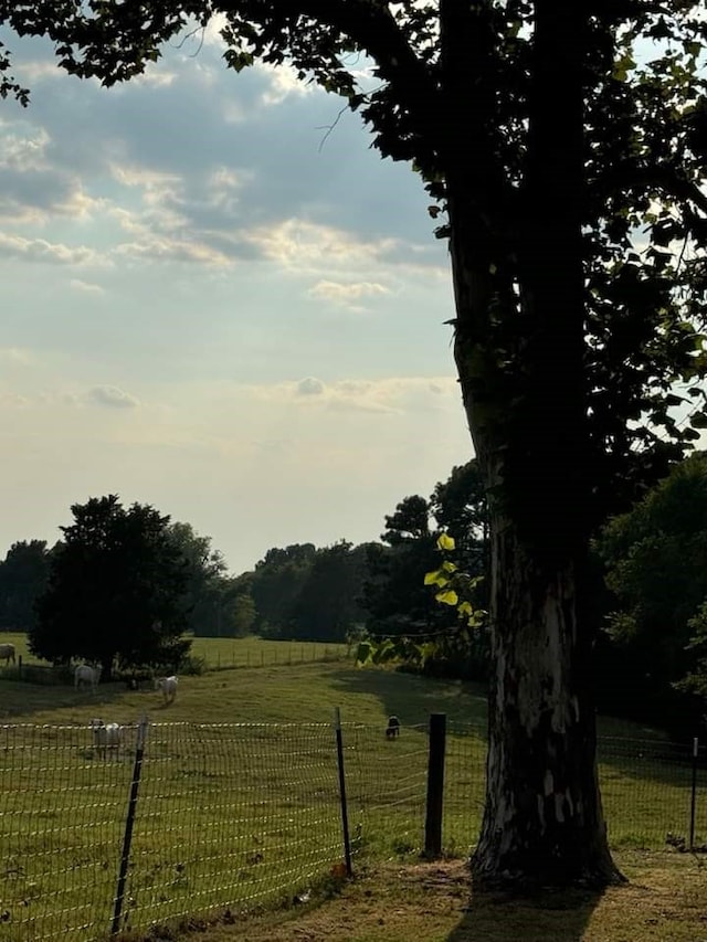 view of yard with a rural view