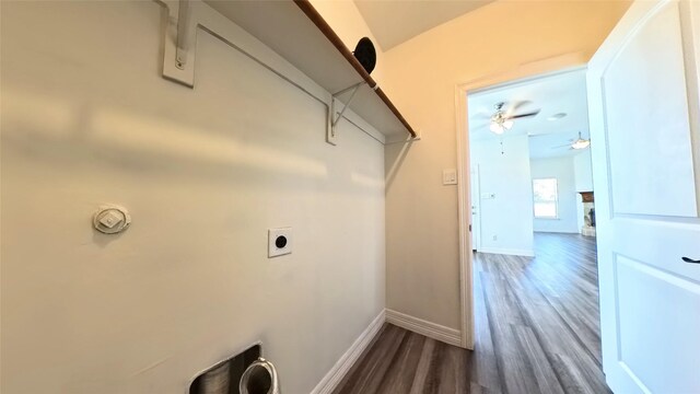 laundry area with electric dryer hookup and dark hardwood / wood-style flooring