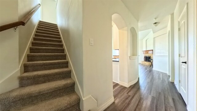 stairway with hardwood / wood-style flooring