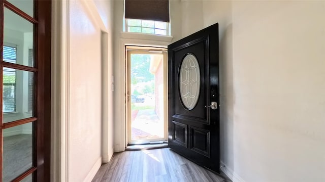 entryway featuring wood finished floors and baseboards