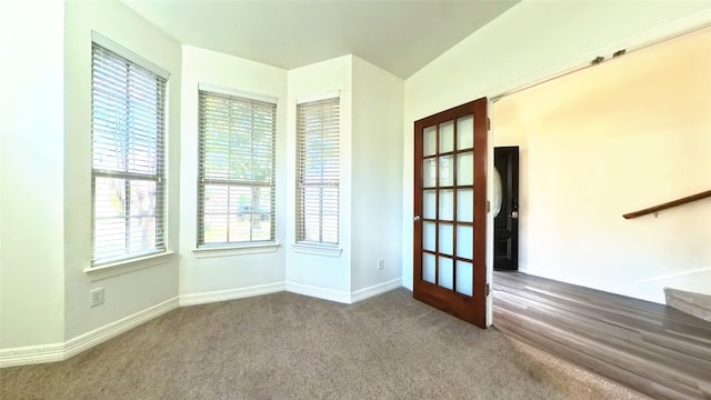 empty room with carpet and a healthy amount of sunlight