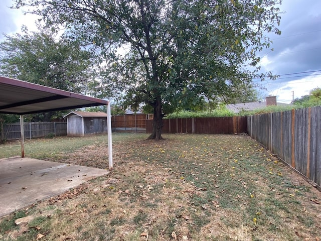 view of yard featuring a patio and a shed