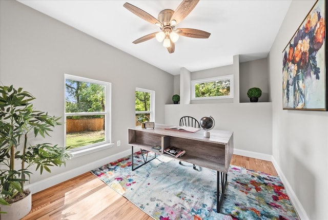 office space with ceiling fan, a wealth of natural light, and light hardwood / wood-style floors