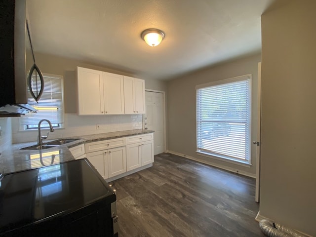 kitchen featuring a wealth of natural light, dark hardwood / wood-style floors, white cabinetry, and sink