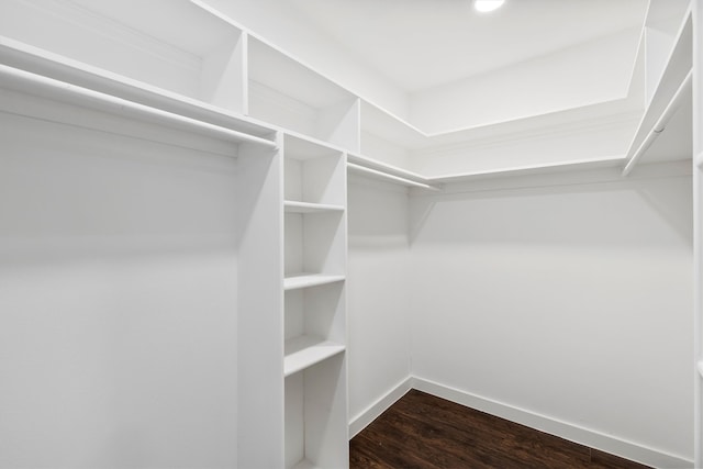 walk in closet with hardwood / wood-style floors