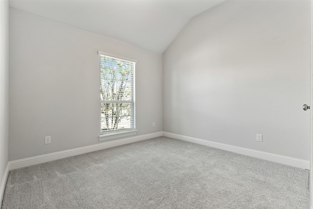 carpeted spare room with a healthy amount of sunlight and lofted ceiling