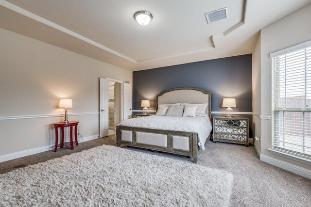 carpeted bedroom with a raised ceiling