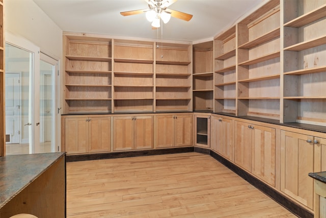 interior space featuring ceiling fan and light hardwood / wood-style flooring