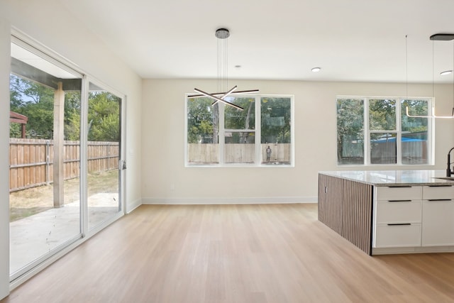 unfurnished dining area with light hardwood / wood-style floors and a healthy amount of sunlight