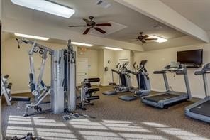 gym featuring ceiling fan and carpet floors