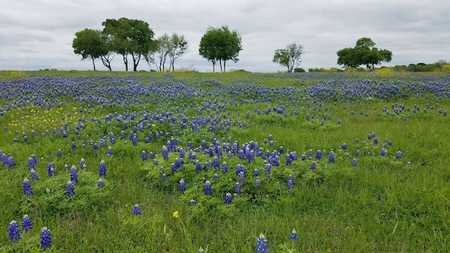 TBD Fm 513 S, Lone Oak TX, 75453 land for sale