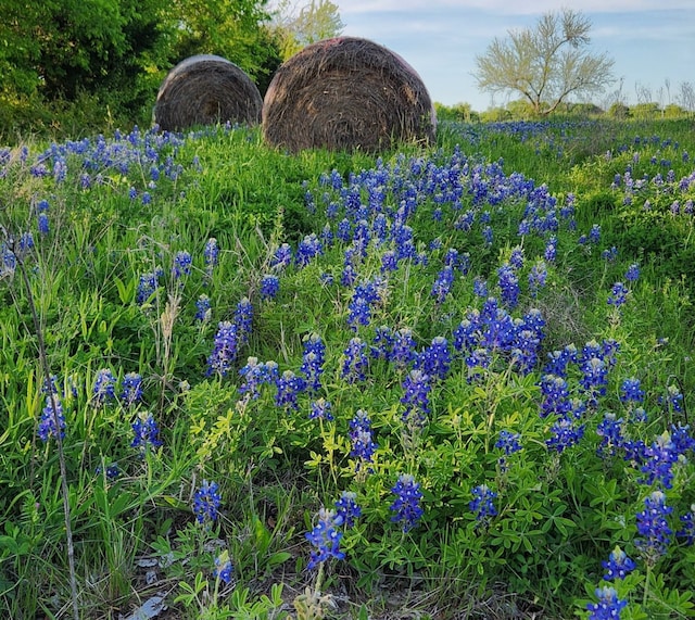 Listing photo 2 for TBD Fm 513 S, Lone Oak TX 75453