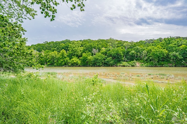 view of local wilderness with a rural view