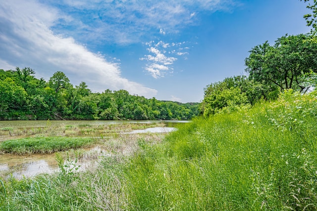 view of landscape with a water view