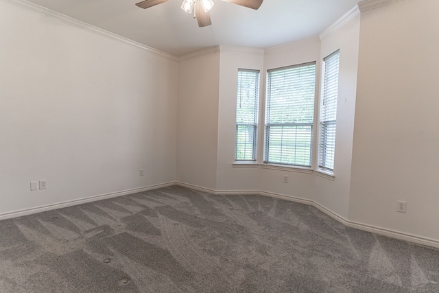 carpeted spare room with ceiling fan and ornamental molding