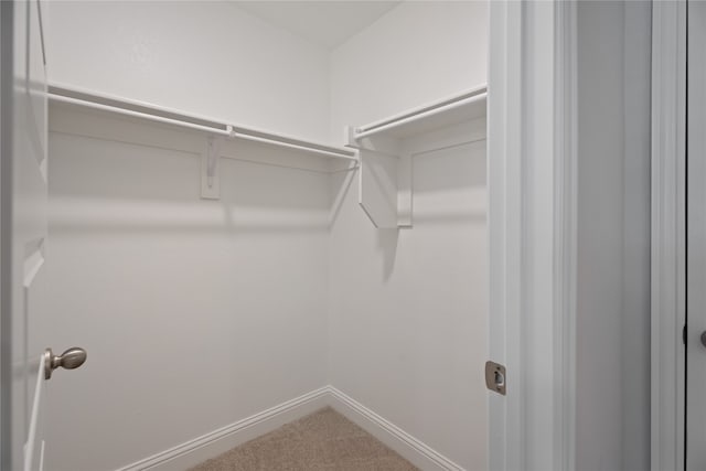 walk in closet with carpet