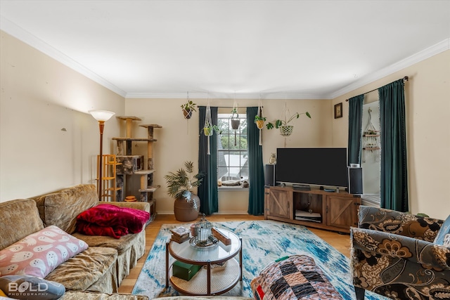 living room featuring crown molding and light wood-type flooring