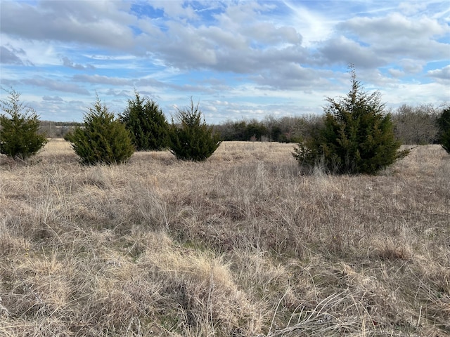 Listing photo 2 for 12AC S State Highway 78, Leonard TX 75452