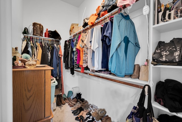 walk in closet featuring carpet flooring