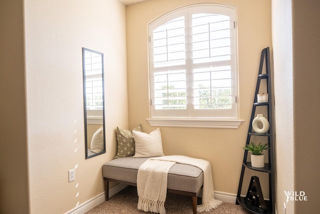 sitting room featuring a wealth of natural light and carpet