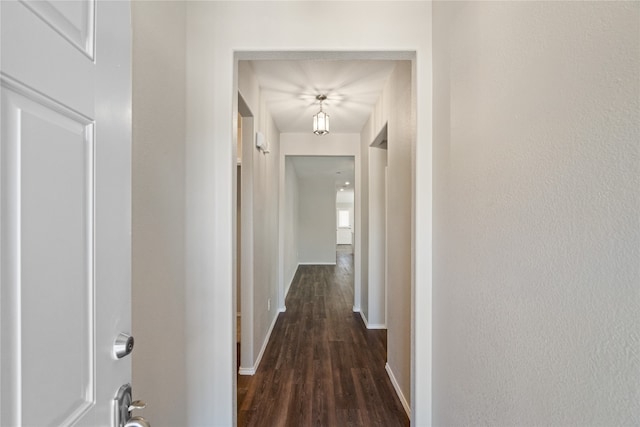 hallway with dark wood-type flooring