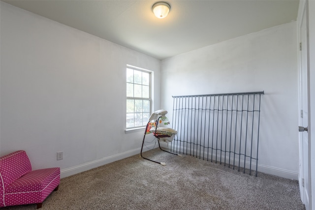 sitting room with carpet