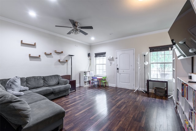 living room featuring ceiling fan, dark hardwood / wood-style floors, and crown molding