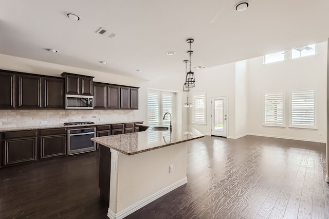 kitchen with an island with sink, dark hardwood / wood-style floors, stainless steel appliances, and a wealth of natural light