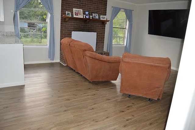 living room with hardwood / wood-style flooring, a fireplace, and a healthy amount of sunlight