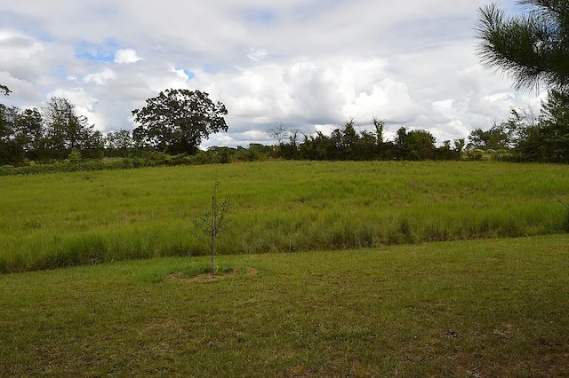 view of local wilderness featuring a rural view