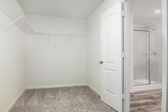 spacious closet with hardwood / wood-style floors