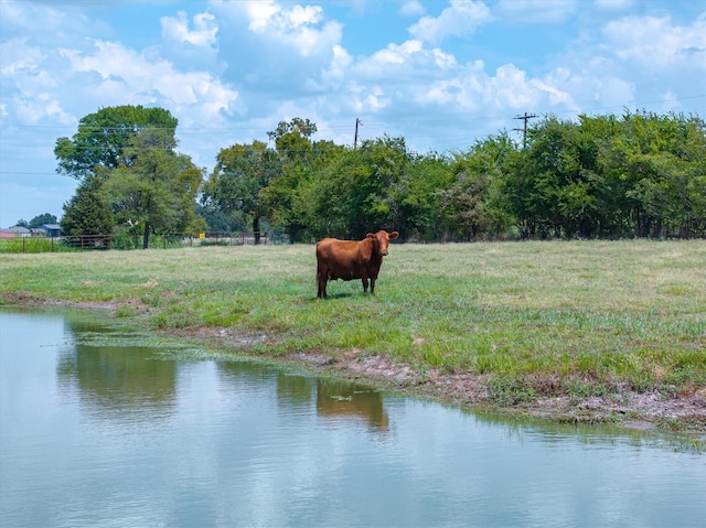 Listing photo 3 for TBD Vz County Road 2120, Canton TX 75103