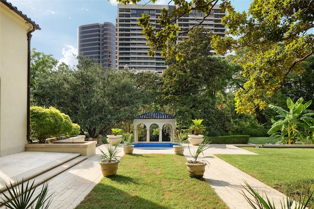 view of community with a lawn and a patio