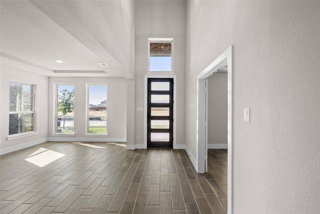 foyer with dark wood-type flooring