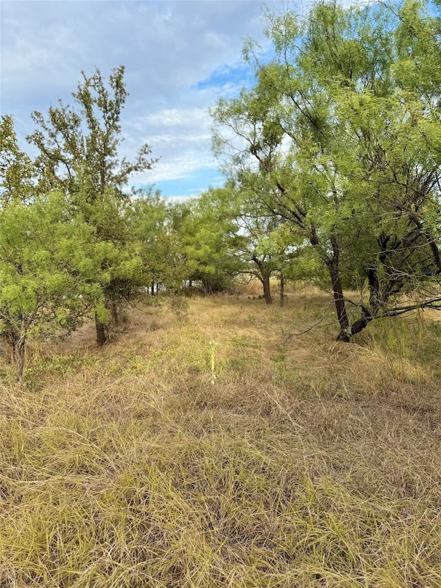 TBD S Beacon Ln, Brownwood TX, 76801 land for sale