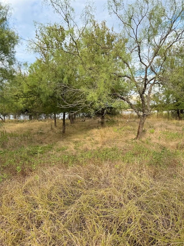 Listing photo 2 for TBD S Beacon Ln, Brownwood TX 76801